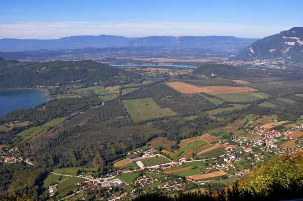 Renseigner Image dans le JSON