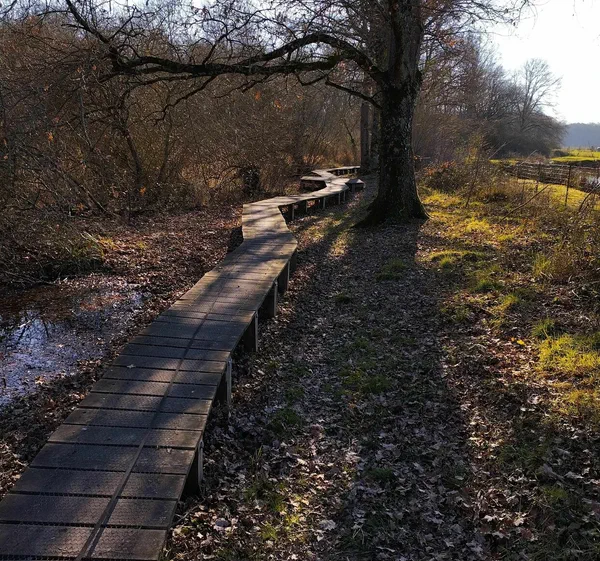 Renseigner Image dans le JSON