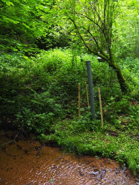 Renseigner Image dans le JSON